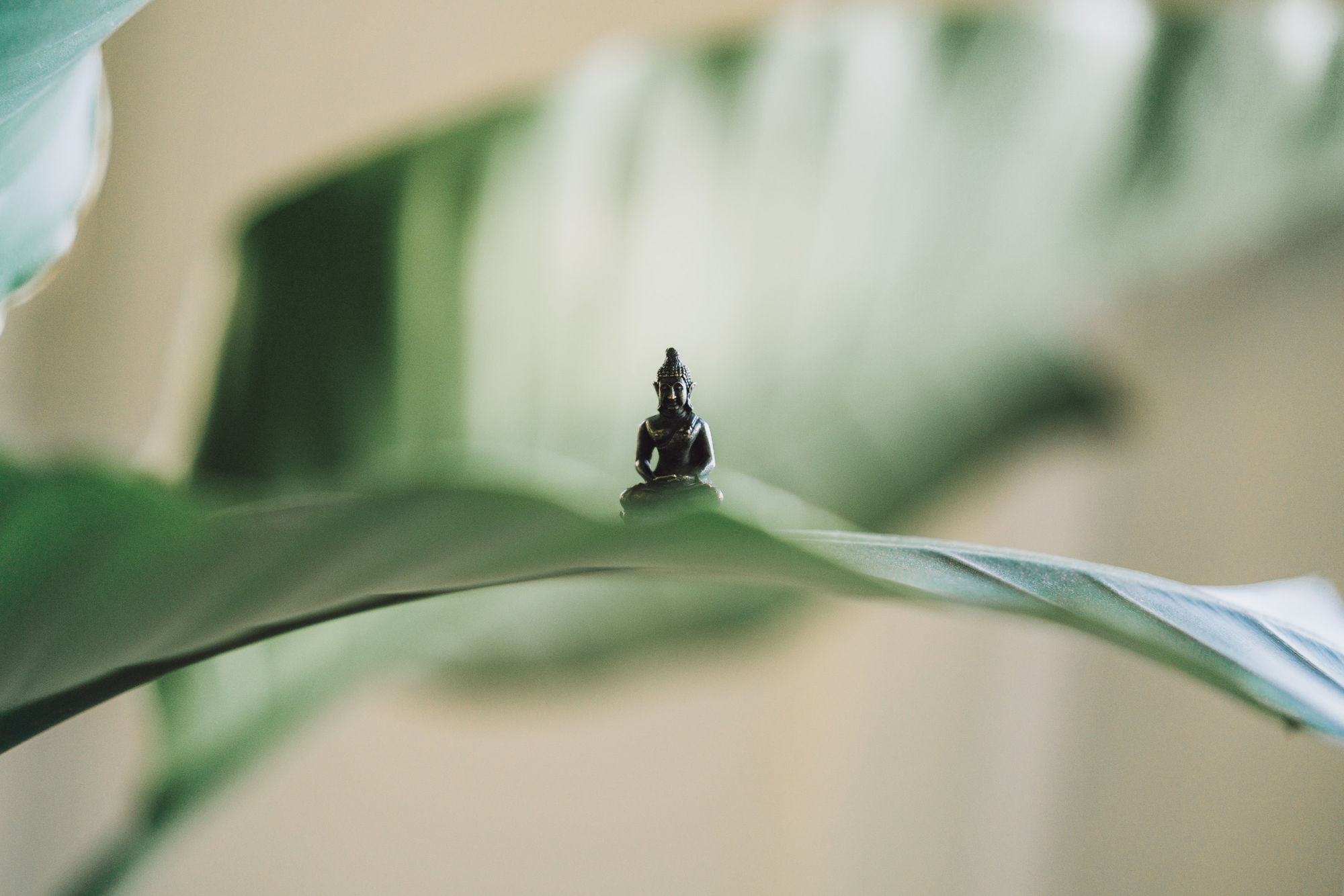 Kleine Buddha-Figur auf einem grünen Blatt